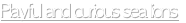 shapeimage_1_link_2