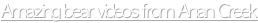 shapeimage_1_link_3