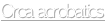 shapeimage_1_link_5